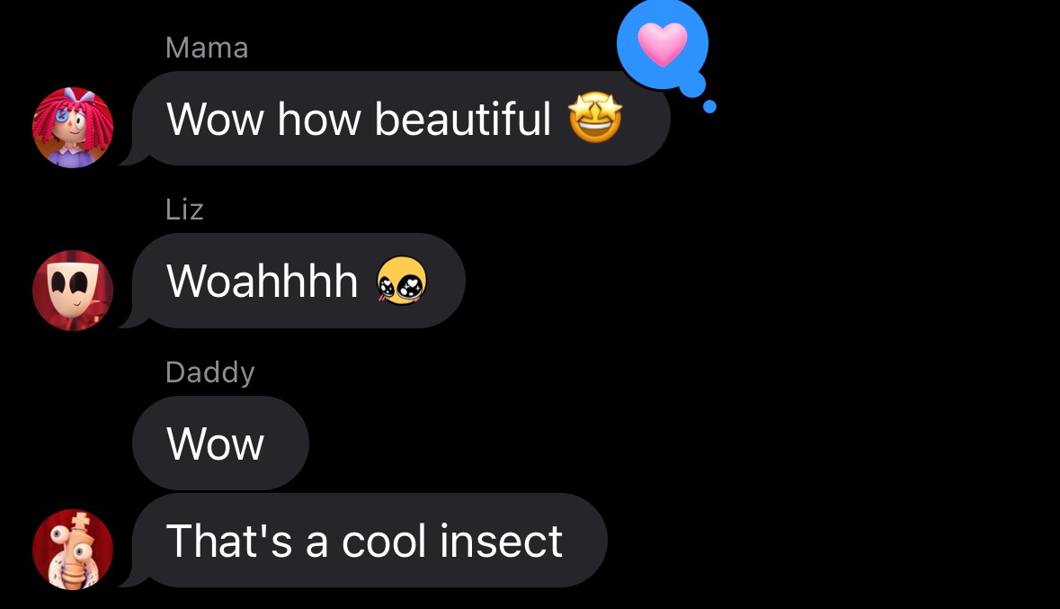 Why are my mom my dad and my sister biblically accurate tadc characters.
I'm not even joking I sent a picture of a bug l found, I don't even think they know what their profile pictures are...
#tadc #TheAmazingDigitalCircus