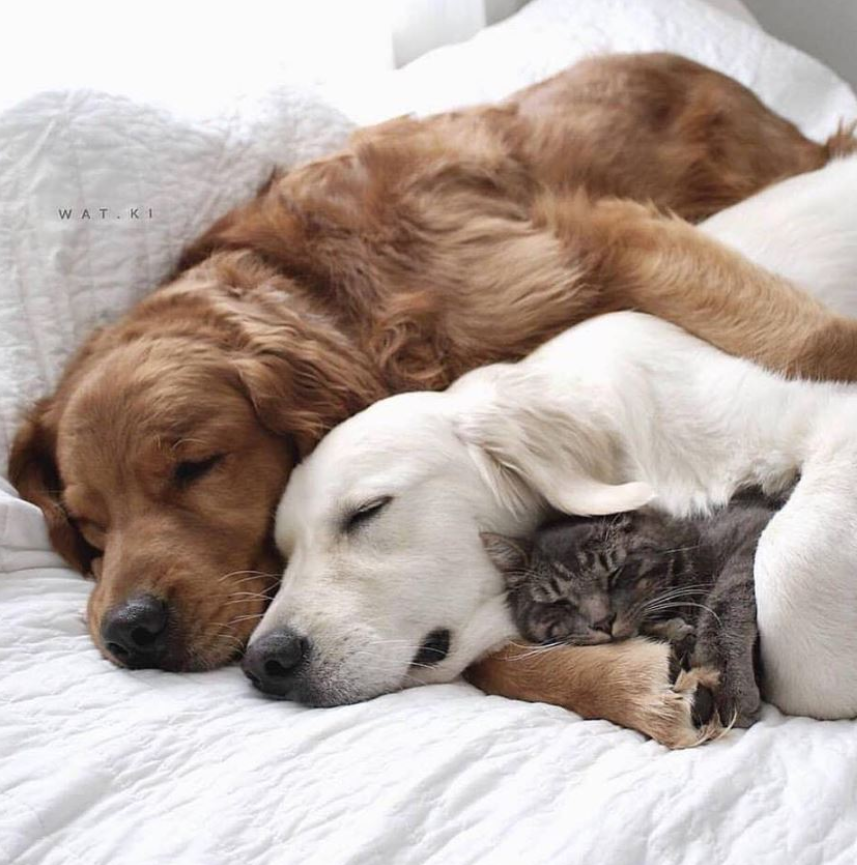 On a scale from 1 - 10 how beautiful is this photo?