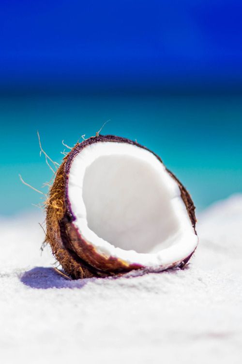 oldmemory97's tweet image. 