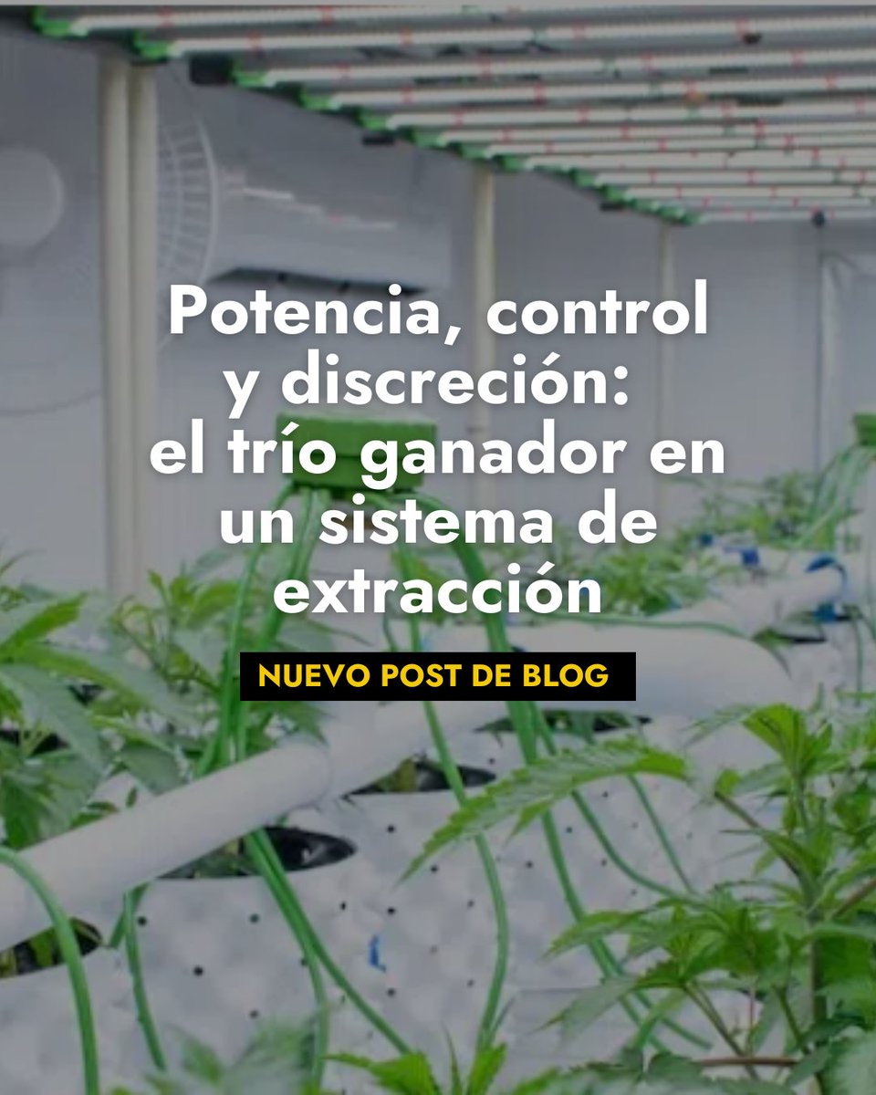 The Pure Factory tweet media