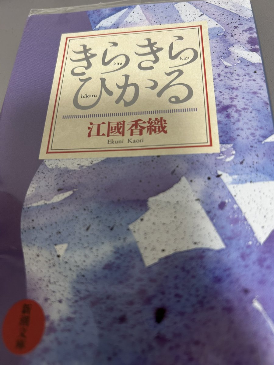 ばたちゃ【コメント必読】 ぬいぐるみみたいにちょこんと座るつぶちゃん🧸 つぶちゃんは