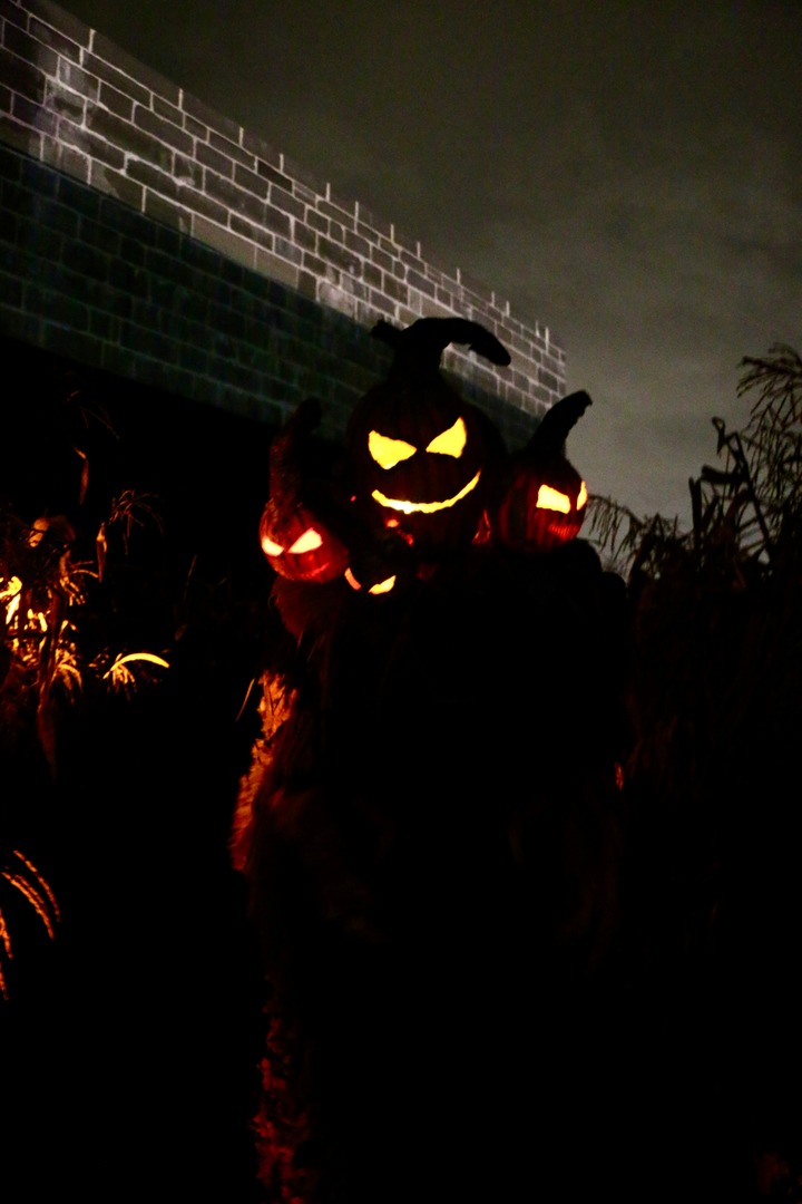 Fort Henry National Historic Site tweet media