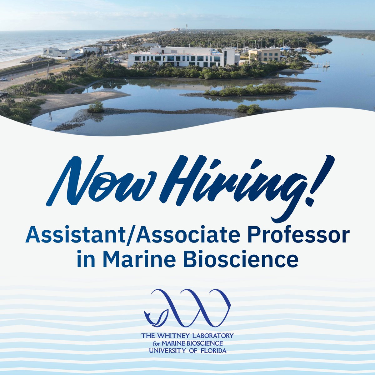 Whitney Laboratory tweet media