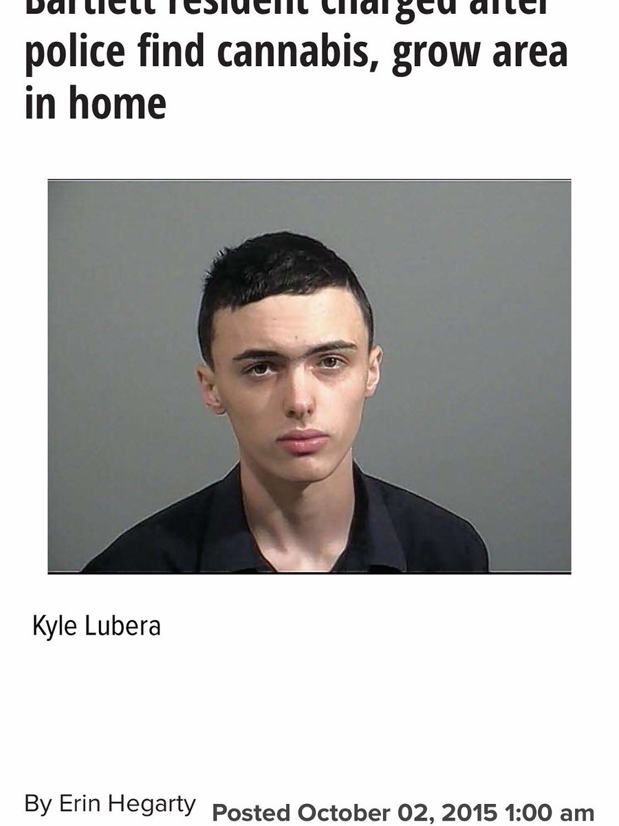 LUBE tweet media