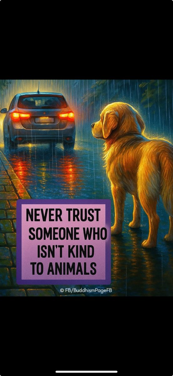 garfield (@ikkkuhggh) on Twitter photo 