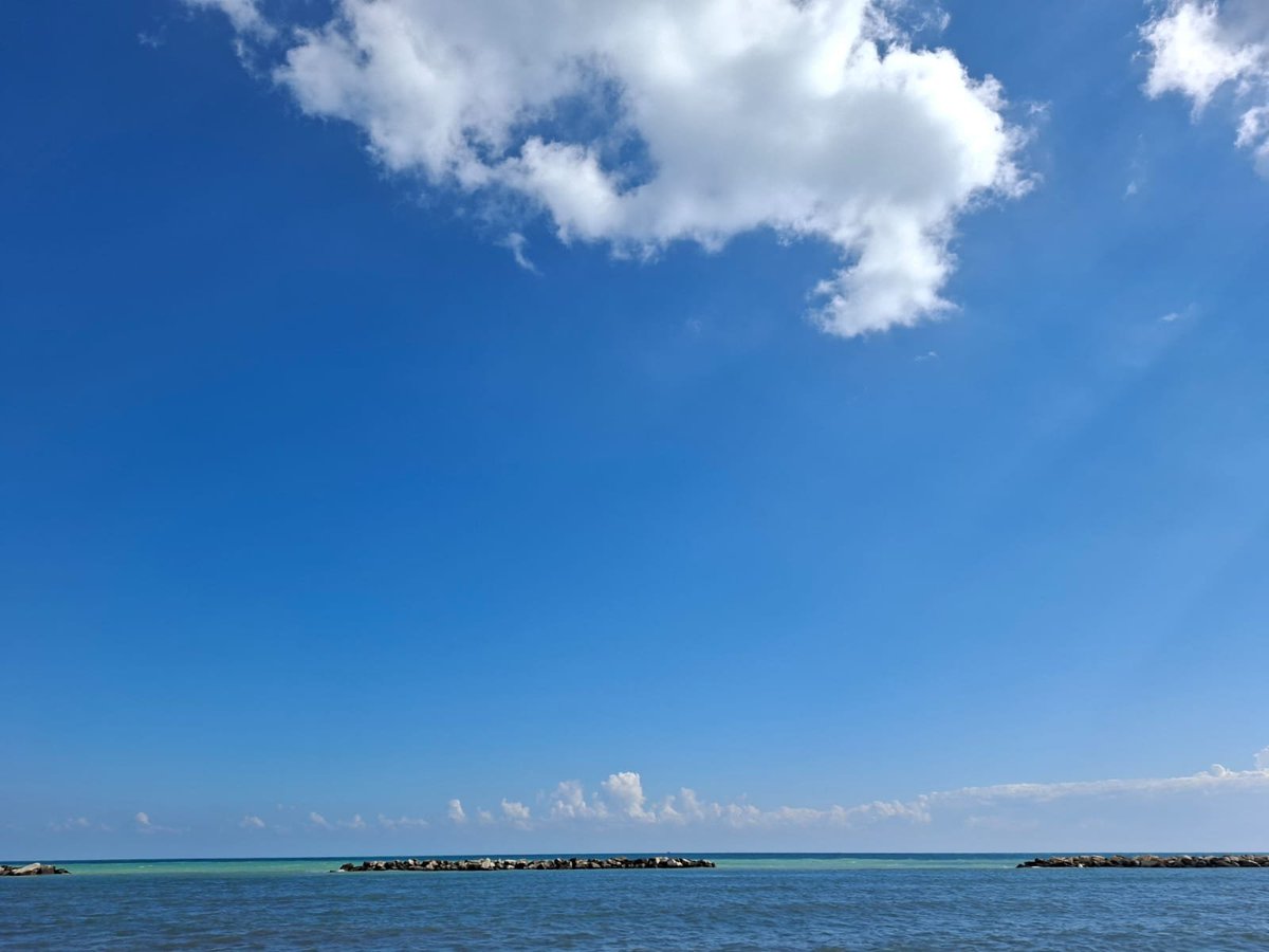 Bernard Shakey (@bernardshakey11) on Twitter photo 