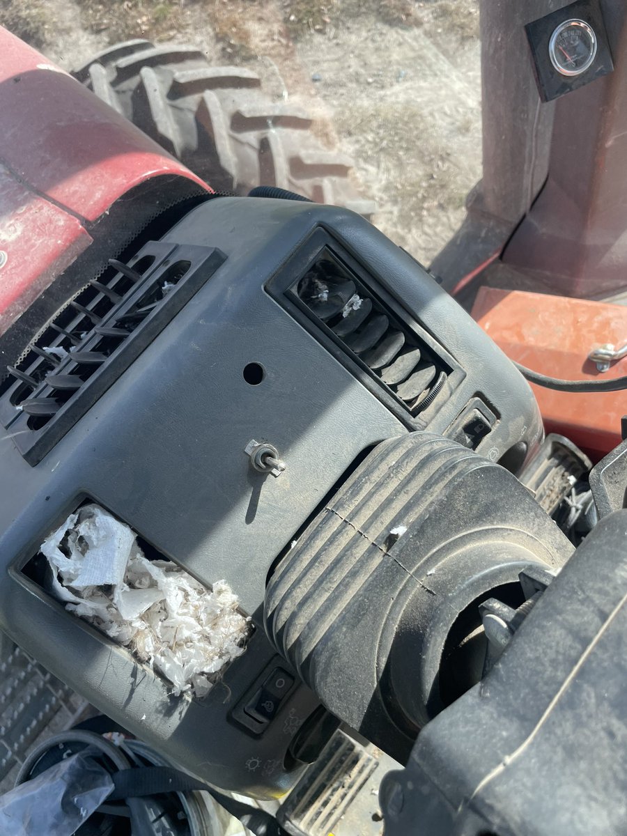 Going scorched earth on rodents. wtf!!