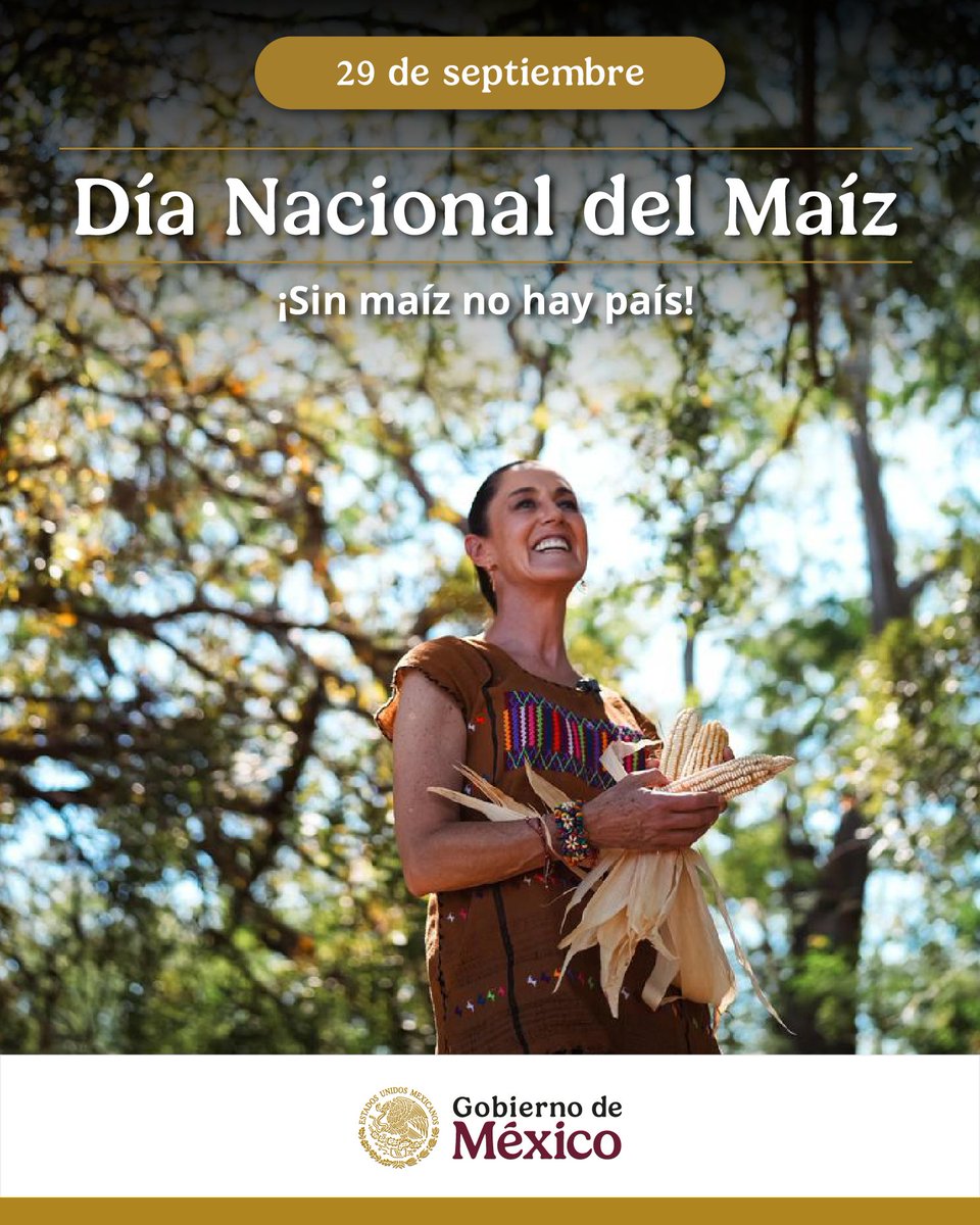 En el Día Nacional del Maíz, destacamos la reforma constitucional a los artículos 4.º y 27, que establece la protección de 59 razas nativas de maíz y prohíbe la siembra de transgénico en territorio nacional.

Este alimento es fundamental para la identidad nacional, la cultura y