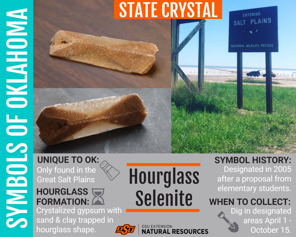 The Oklahoma State Crystal is Hourglass Selenite!

Unique to Oklahoma: Only found in the Great Salt Plains.
Hourglass Formation: Crystalized gypsum with sand &amp; clay trapped in an hourglass shape.
Symbol History: Designated in 2005 after a proposal from elementary students.

When
