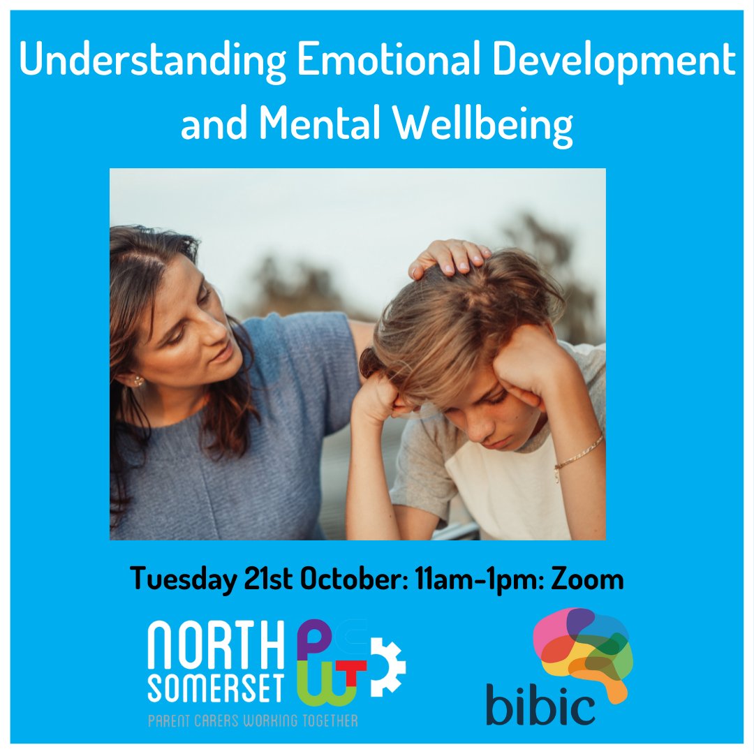 North Somerset Parent Carers Working Together tweet media