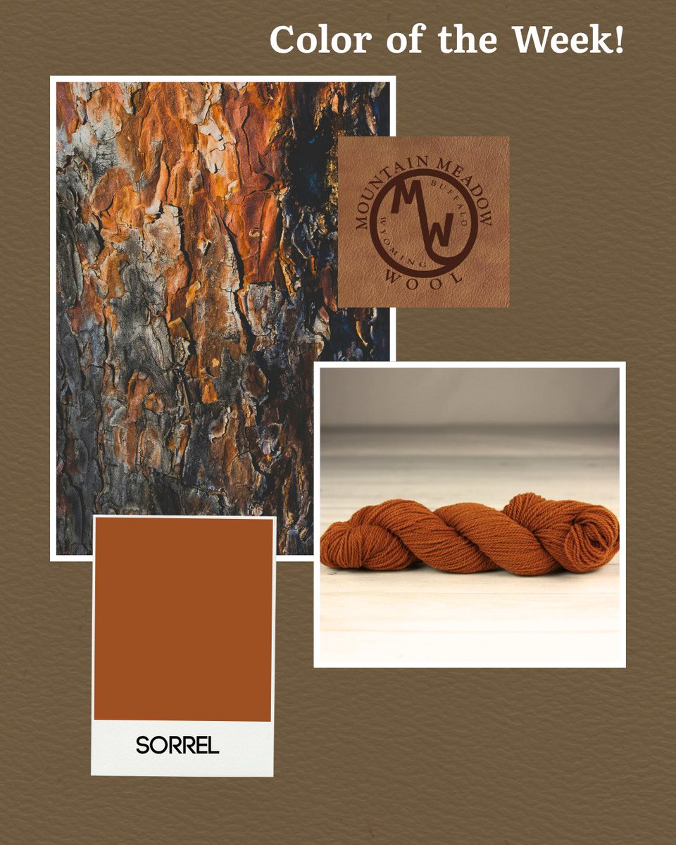 MtnMeadowWool's tweet image. Color of the Week: Sorrel 🍂 - a rich, golden rust perfect for autumn knits! Available in multiple yarns. #ColorOfTheWeek #MountainMeadowWool #AutumnKnits #EarthTones #SustainableYarn #CozyColors #MadeInUSA