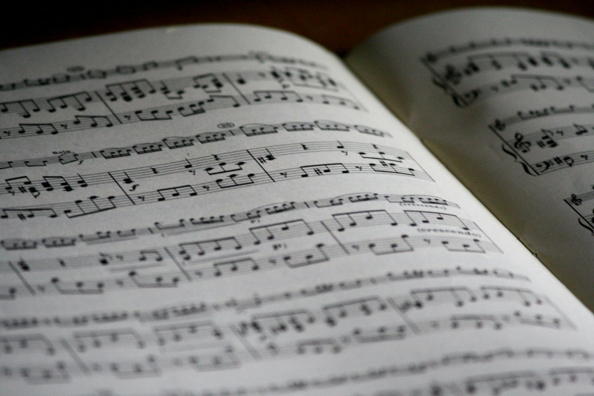 KayTPoems's tweet image. the music of you 
you are full of it. your key changes. 
your rhythm a cadence i can’t quite
capture. you are ethereal to mortal 
ears. 

~K.T.

#poem #poetry #poet #writer #writingcommunity #blackpoet #kaytpoems #moonmystic