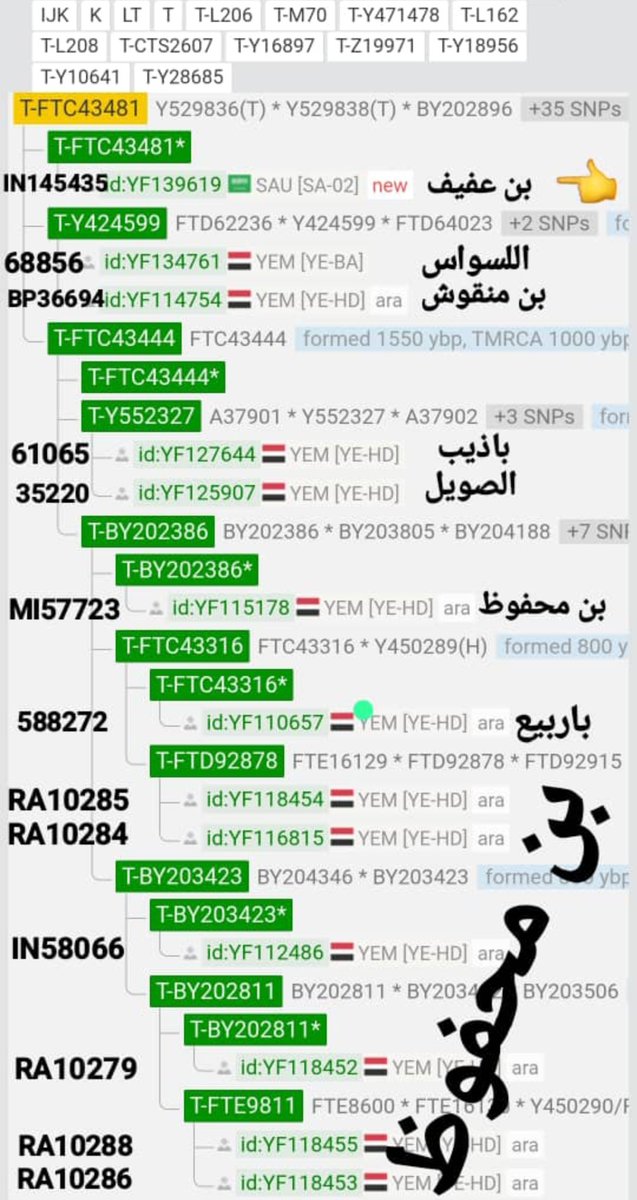 HDM_DNA's tweet photo. اعلان 83-9
يسر مشروع حضرموت الجيني ان يعلن لكم نتيجة yf139619 : Big Y-700
IN145435 : familytree
الاسم: بن عفيف
المنطقة: مكة المكرمة والأصل حضرموت
السلالة : #T_M70
التحور : #L208
الفرع : #ftc43481
#T >> #M70 >> #L208 >> #ftc43481 https://t.co/15Z8skrCSe