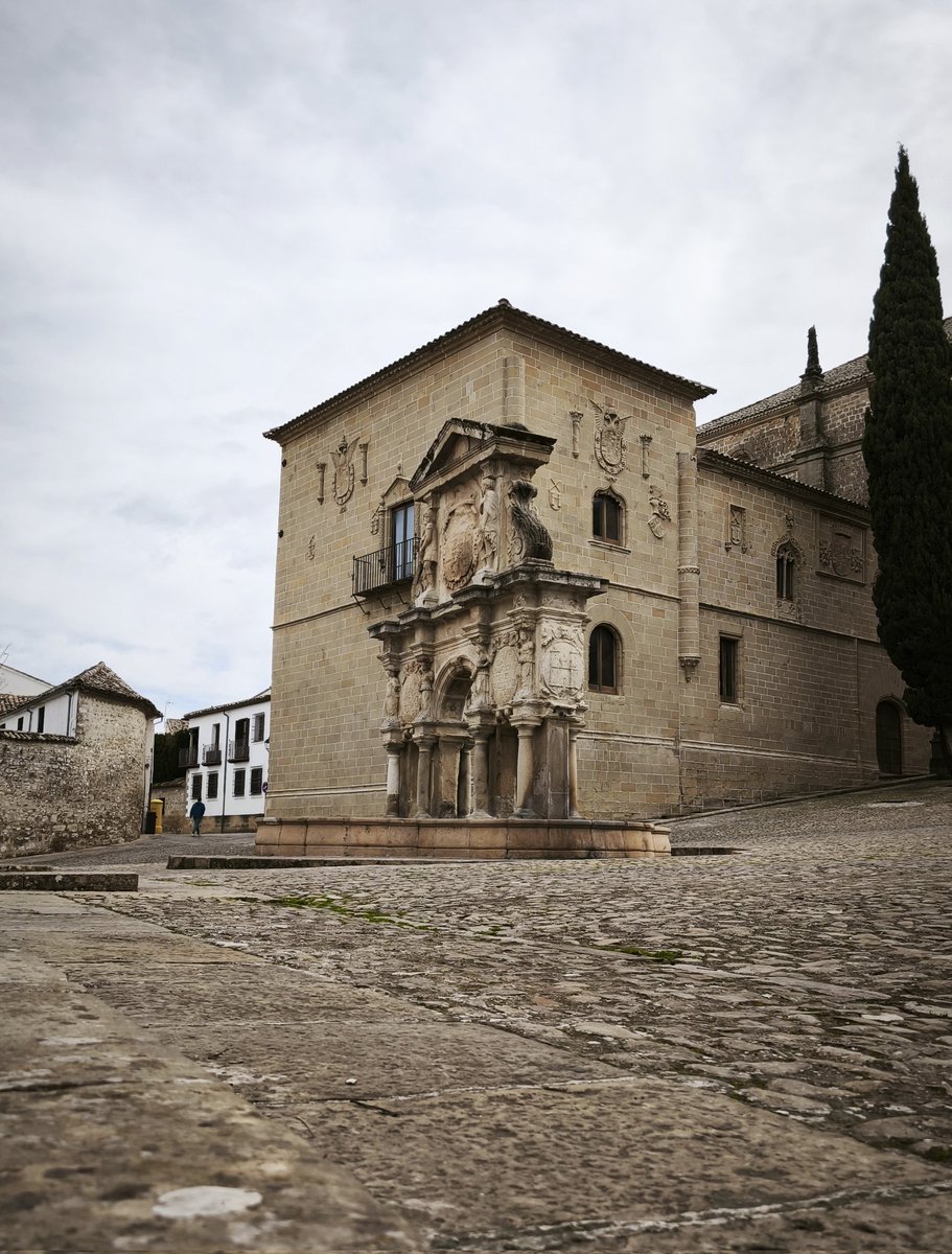 Así de bella luce hoy la Plaza de Santa María de Baeza con esos colores tan bonitos que les da el frío y la lluvia ❤️

Fotografía propia sin filtros 📷