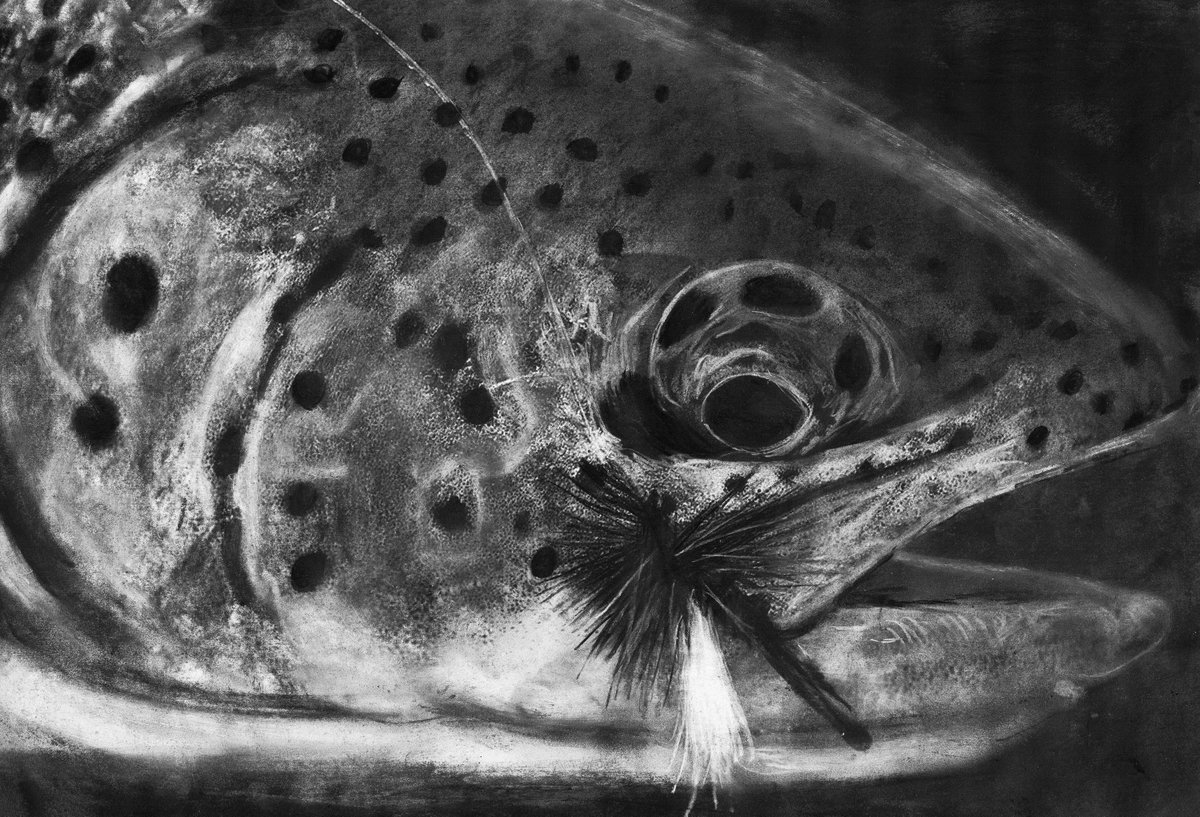 Shadow Rise – Charcoal Trout Fly Fishing Art Print by Jack Tarpon dogfishart.com/products/shado… #painting #OscarJetson #BlackAndWhiteFishPrint
