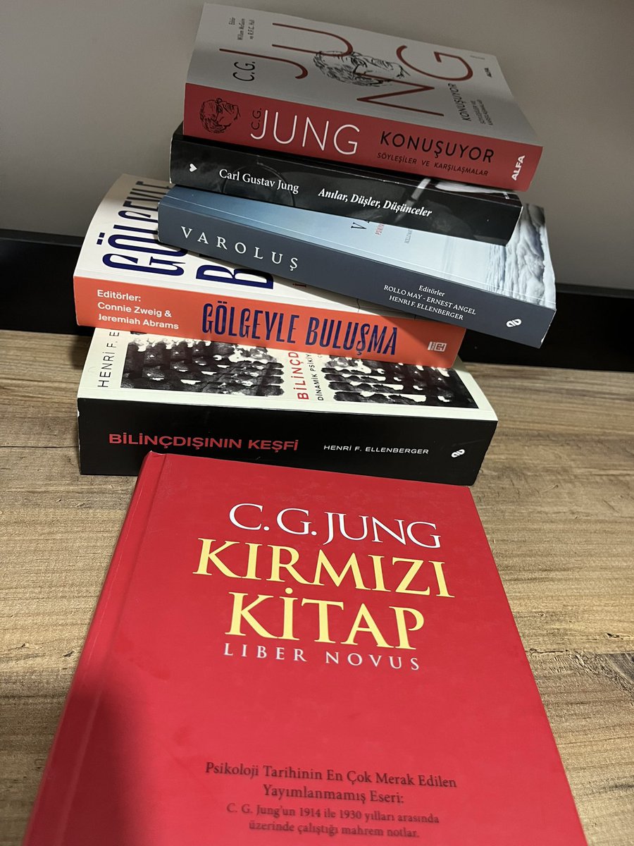 “Kendimi kendi dışımda arayışım çok uzun sürdü.”

C. G. Jung, Kırmızı kitap, s. 107