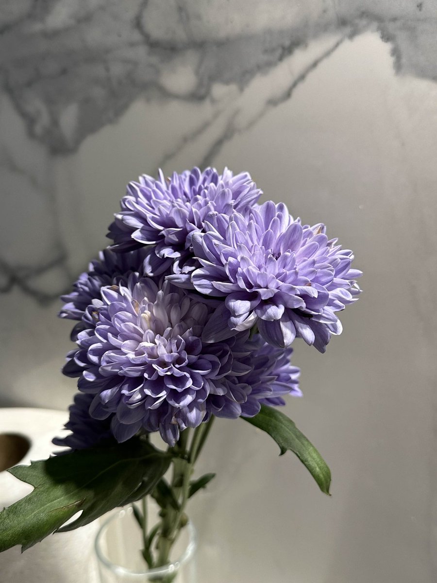 I'm very convincing SMIRK