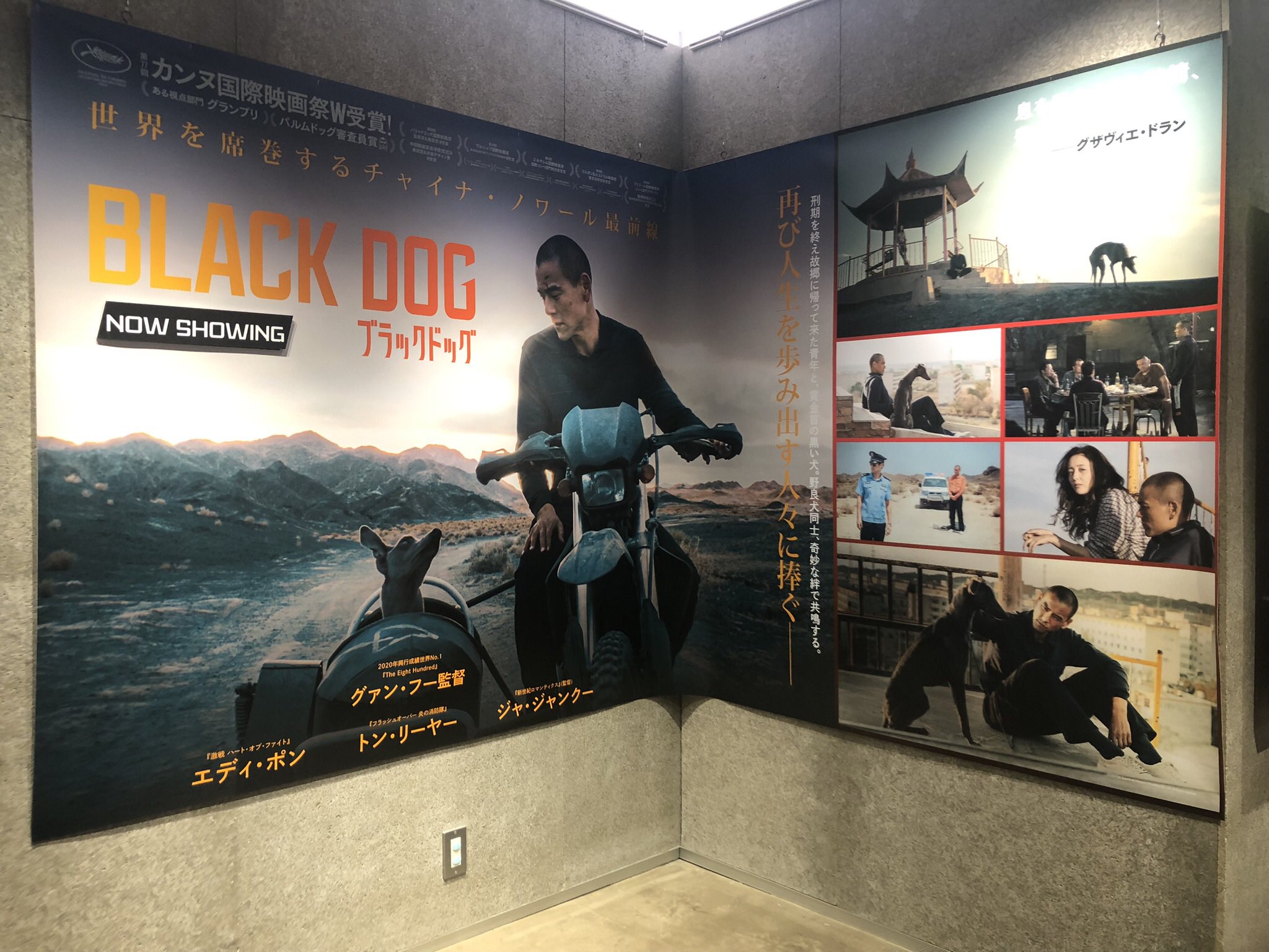 直筆サイン入り写真 賈樟柯 ジャ・ジャンクー ディレクター SA鑑定済