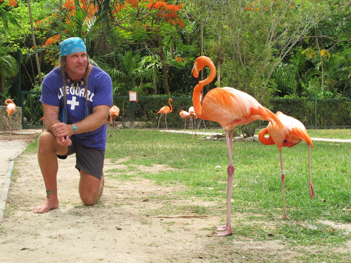 Blast from the past…
NOT plastic! Taking a break from filming Shark Week, Bahamas, 2011.

New, 2026 Aboriginal Living Skills School survival courses will be announced soon!
Stay safe! Cody
