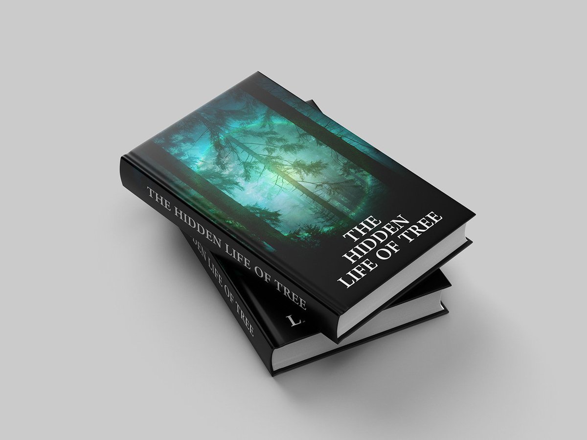 Dammie_29's tweet image. Writing a book is hard. Editing it is harder.
But a well-edited ebook isn’t just clean, it’s reader-ready.

Don’t let typos and poor flow hold back your masterpiece. Let’s make it shine.

#eBookEditing #BookEditing #kindieAuthors  #BookPublishing #LaCasaDeLosFamososMx