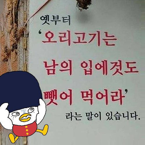 똘짤이 tweet media