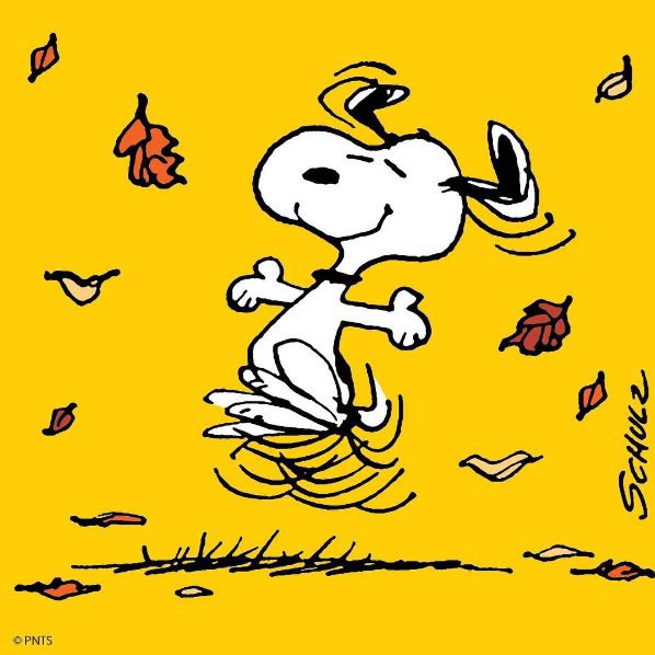 ᅠᅠ 

ITS OFFICIALLY FALL .ᐟ 

ᅠᅠ