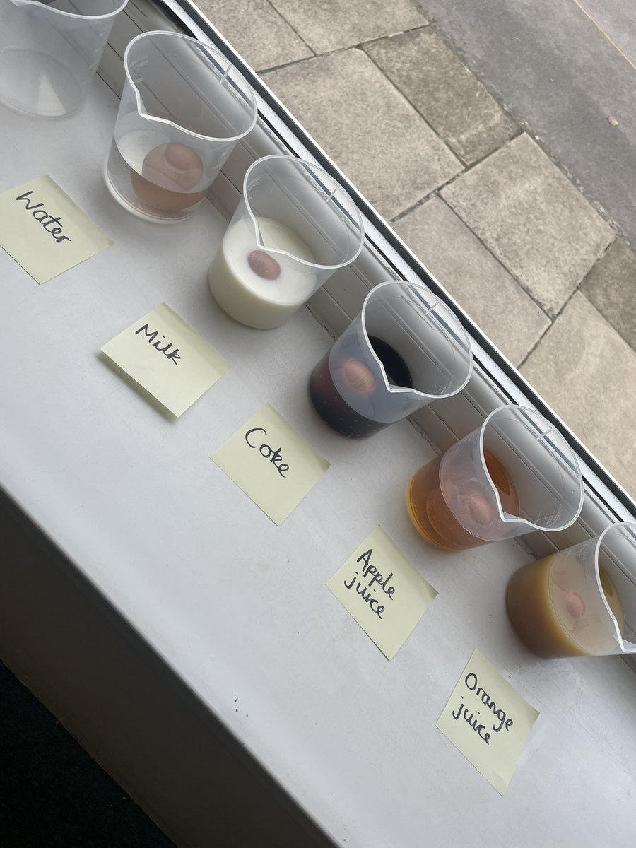 RSJB Year 4 (@4rsjb) on Twitter photo How do different liquid affect our teeth? (Eggs being our teeth) canโt wait to see what happens! What do you predict? <a href="/StRoyston/">Royston St John Baptist Primary School</a> How do different liquid affect our teeth? (Eggs being our teeth) canโt wait to see what happens! What do you predict? <a href="/StRoyston/">Royston St John Baptist Primary School</a>