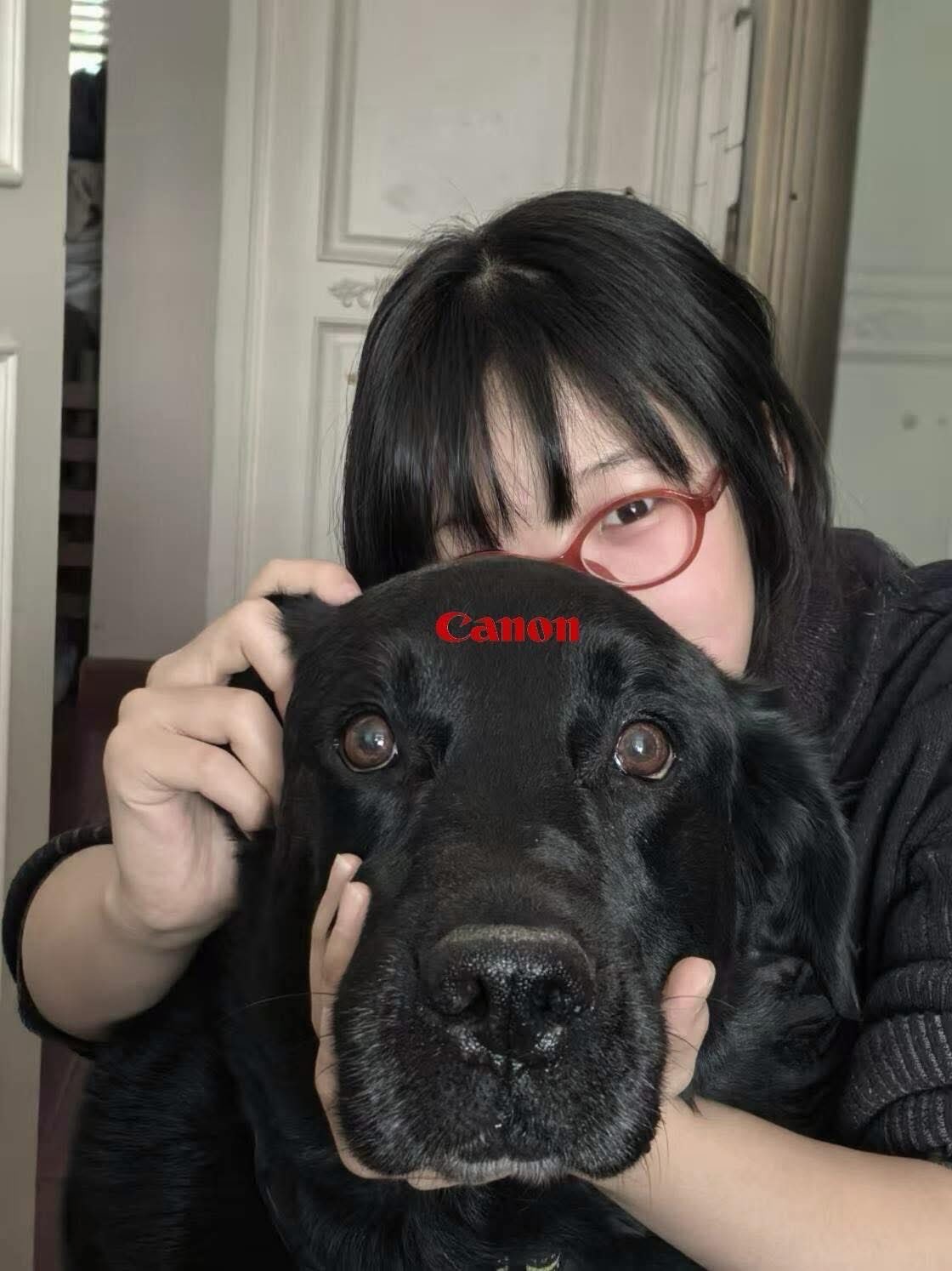 ⭐︎ やすちょん ⭐︎ ぐちょん (@guxyon) / X