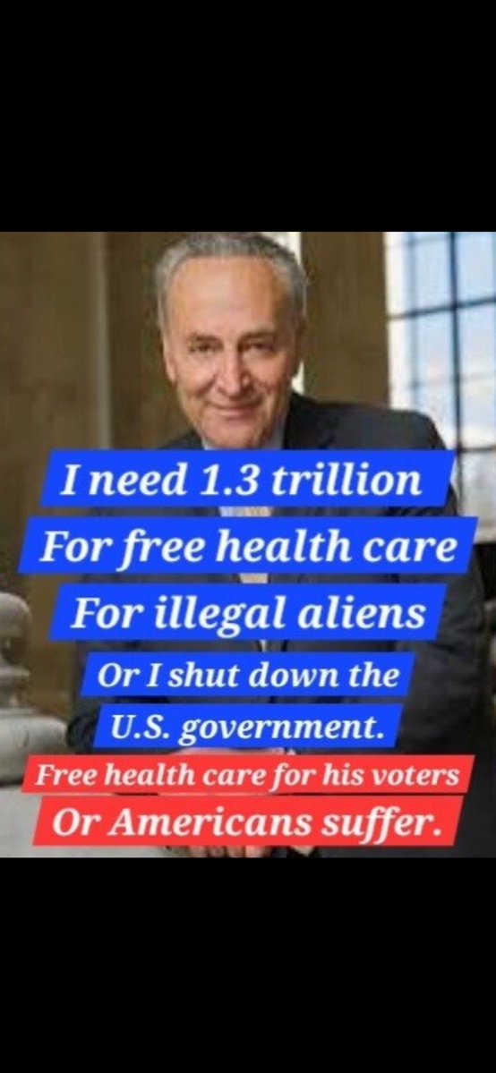 JesseMock4's tweet image. SchumerShutDown 
Remember in MidTerms !!