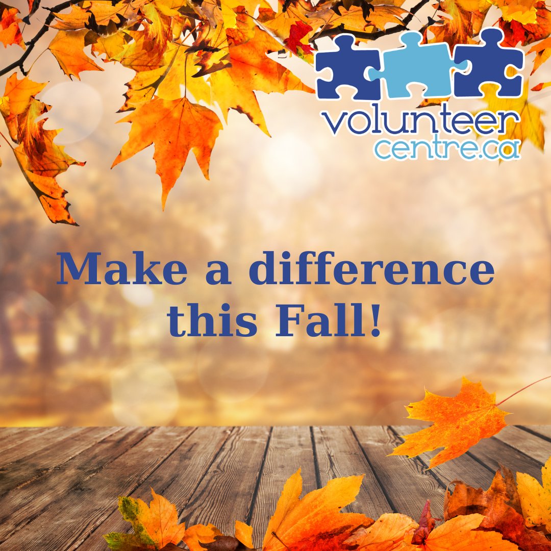 volunteercentre.ca/volunteer-in-l…