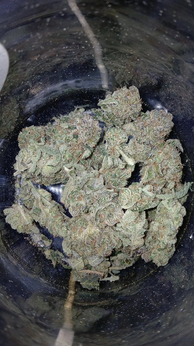 🔥❄️
#420community #weed #cannabis 
#porro #kush #marihuana #MARYJANE