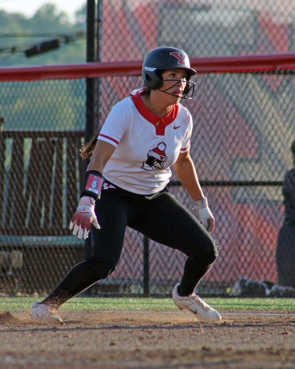 Youngstown State Softball 🐧 tweet media