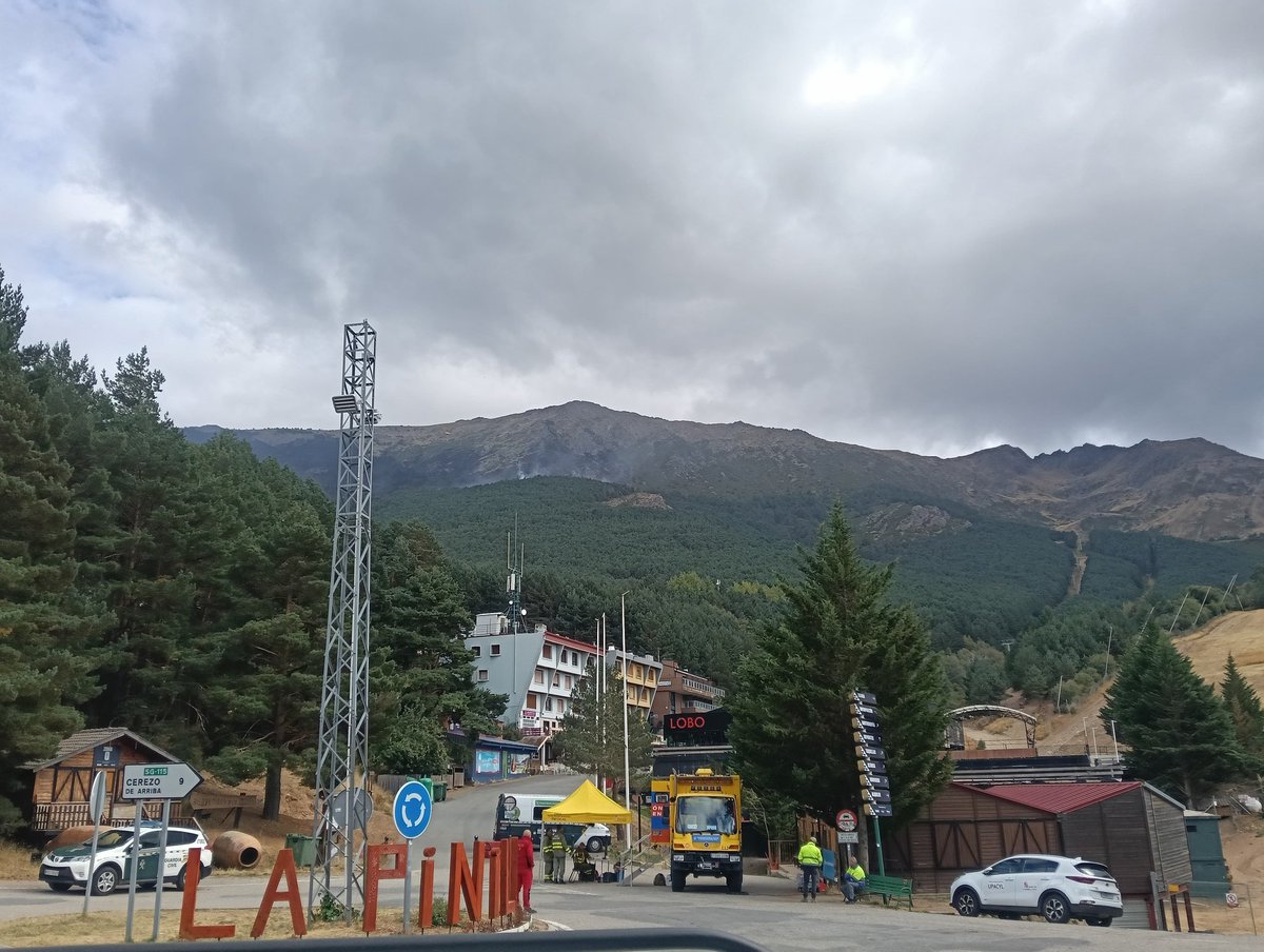 BRIF-A LUBIA tweet media