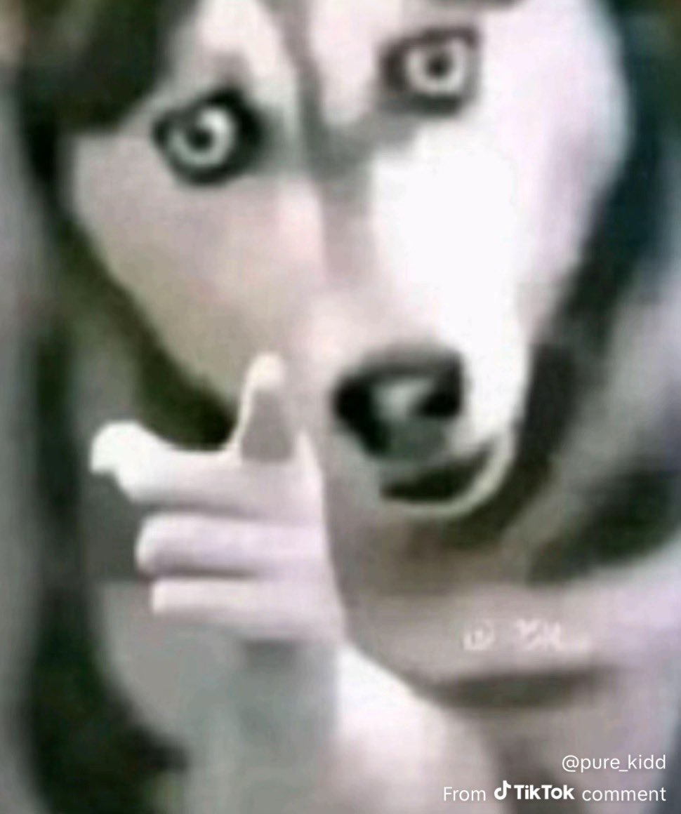 MagroyD's tweet image. You again..??…