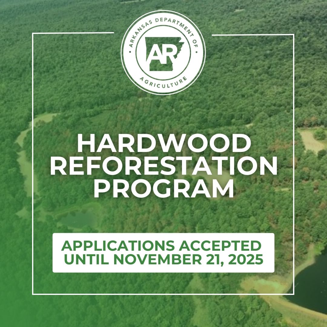 The Arkansas Department of Agriculture has launched the Hardwood Reforestation Program to help landowners in Southeast Arkansas restore forest health and diversify their woodlands.

Why it matters: Pine stands in the region have been hit hard by brown spot needle blight, leading
