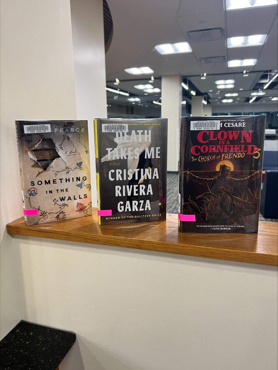ConnLibrary's tweet image. 📚✨ New Reads Alert!
Our Popular Reading collection just got a fresh stack of fiction — and it’s full of magic, mystery, mayhem, and more. Whether you&apos;re into dystopias, haunted houses, literary drama, or witchy inns, we’ve got something for you!
#ConnLibrary #PopularReading
