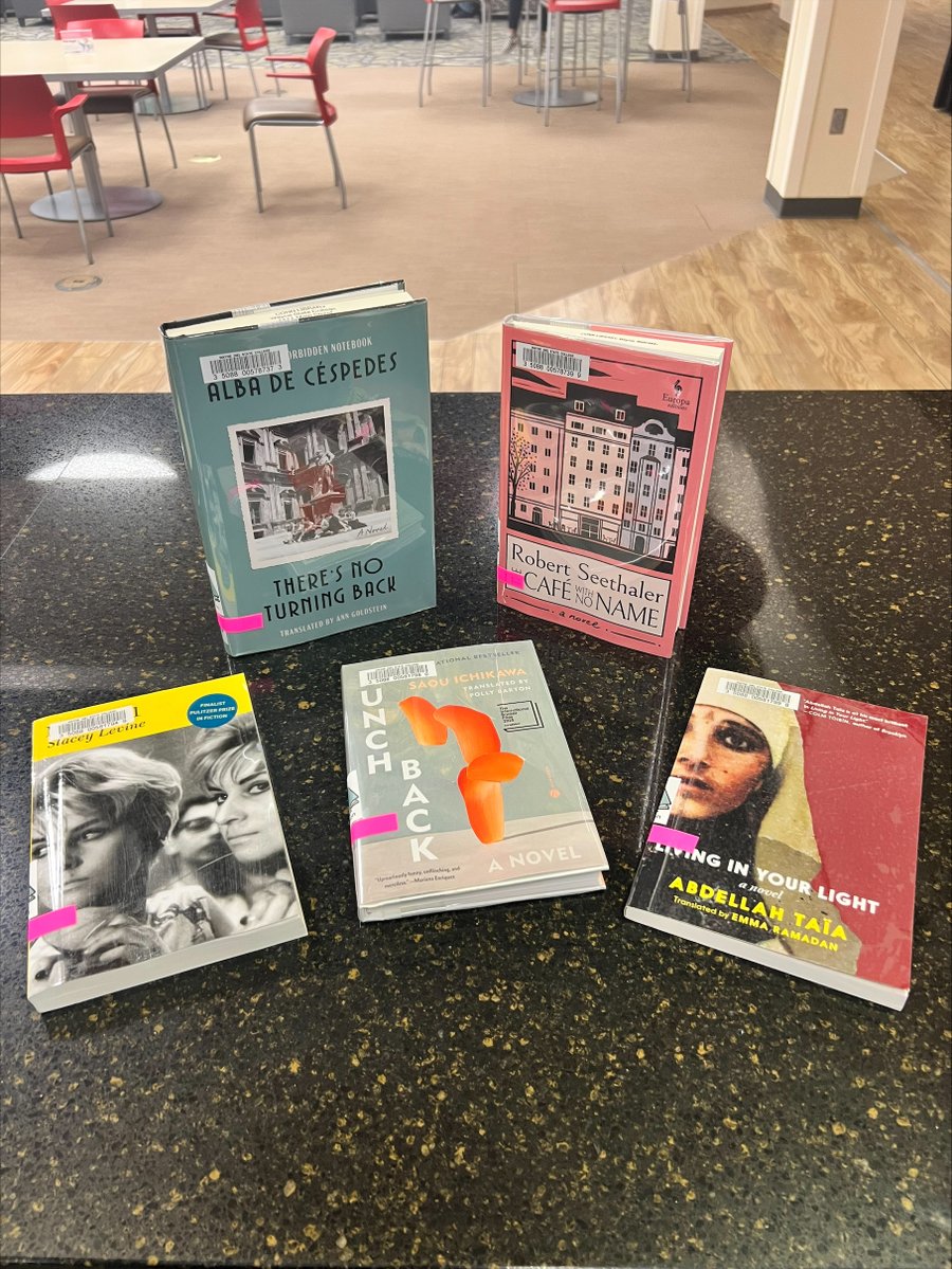 ConnLibrary's tweet image. 📚✨ New Reads Alert!
Our Popular Reading collection just got a fresh stack of fiction — and it’s full of magic, mystery, mayhem, and more. Whether you&apos;re into dystopias, haunted houses, literary drama, or witchy inns, we’ve got something for you!
#ConnLibrary #PopularReading