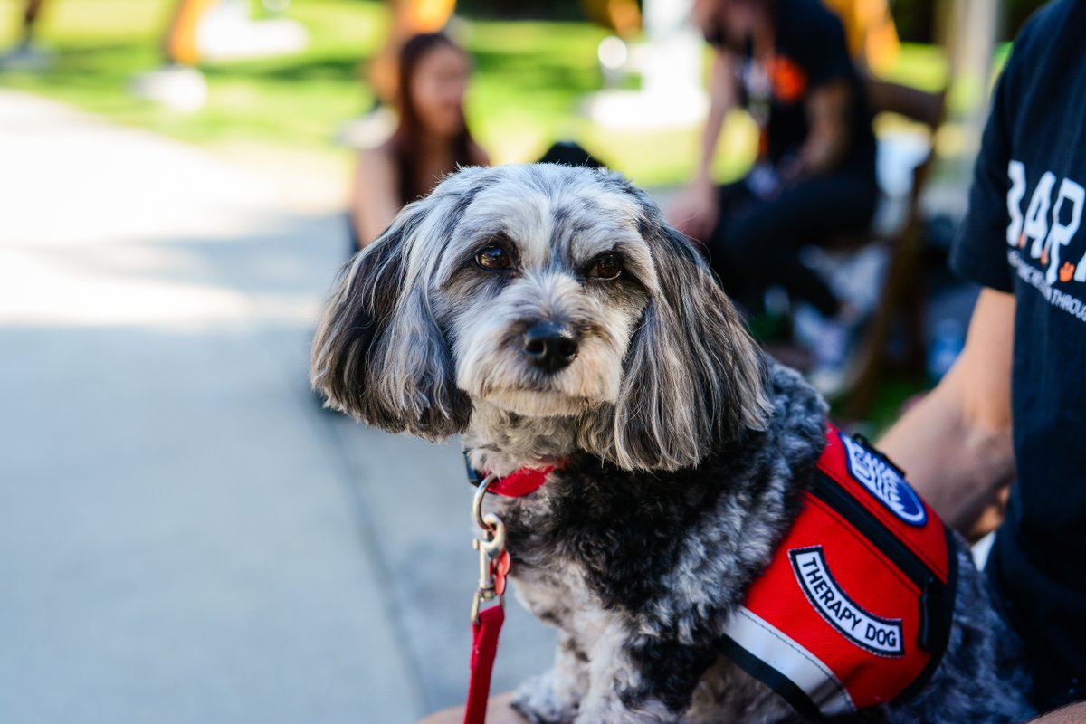 BARK UBC (@barkubc) on Twitter photo Check out Dr. Binfet's latest blog in <a href="/PsychToday/">Psychology Today</a>, Sharing Your Life With a Dog: 5 Benefits and learn more about recent research out of the University of Brighton that reveals five key benefits arising from having a dog!
psychologytoday.com/ca/blog/canineā¦
<a href="/kindnessprof/">John-Tyler Binfet, PhD</a> <a href="/K9researcher/">Freya Green</a> Check out Dr. Binfet's latest blog in <a href="/PsychToday/">Psychology Today</a>, Sharing Your Life With a Dog: 5 Benefits and learn more about recent research out of the University of Brighton that reveals five key benefits arising from having a dog!
psychologytoday.com/ca/blog/canineā¦
<a href="/kindnessprof/">John-Tyler Binfet, PhD</a> <a href="/K9researcher/">Freya Green</a>