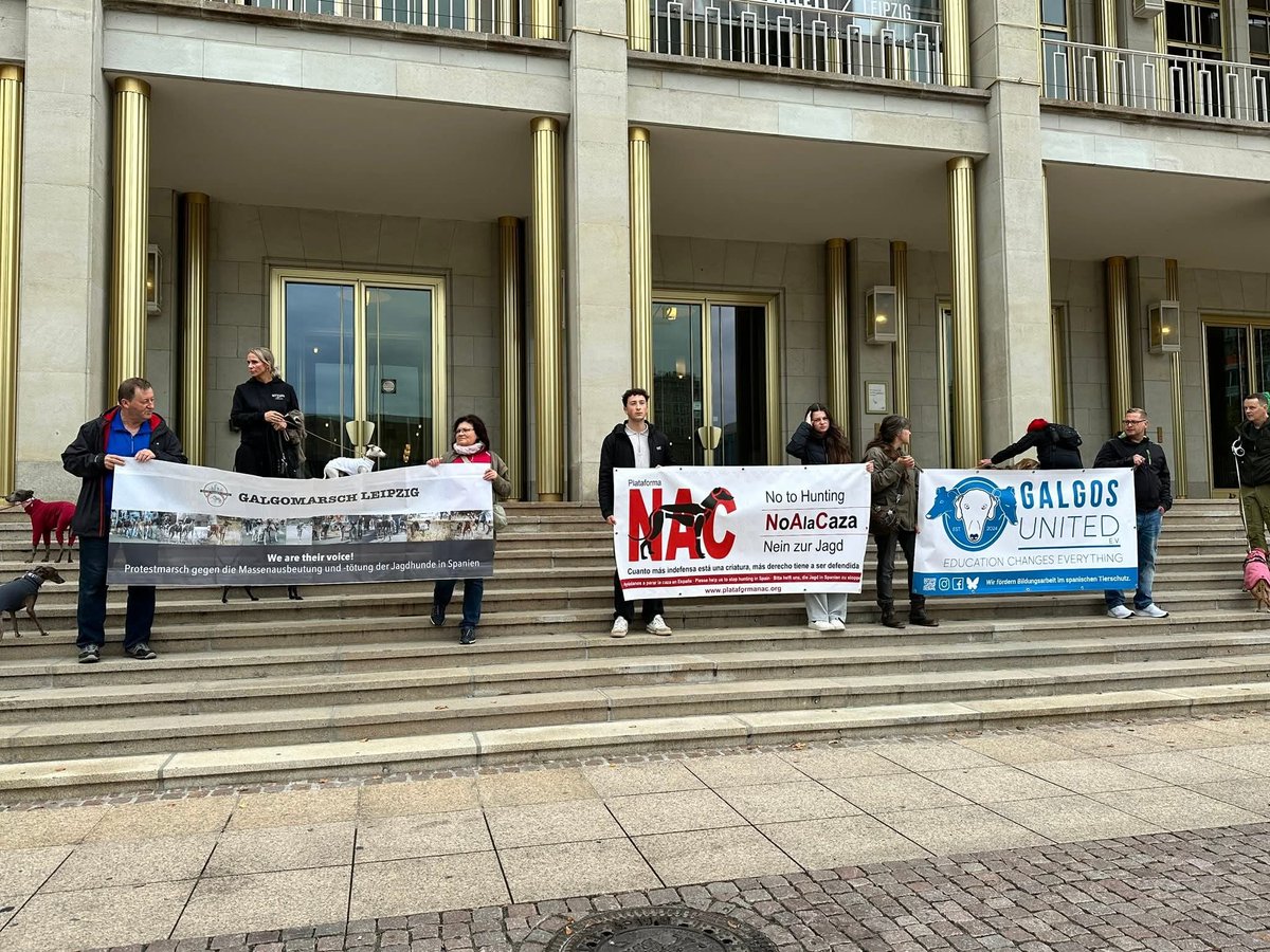 🇩🇪 LEIPZIG - ALEMANIA,  HA SALIDO A LAS CALLES UN AÑO MAS
El amor que sienten por sus perros desechados del mundo de la caza en España es espectacular y salen a las calles con mucha fuerza
Quieren el fin del dolor y sufrimiento

<a href="/galgomarsch/">Galgomarsch</a> #Leipzig
#NoAlaCaza #NeinzurJagd