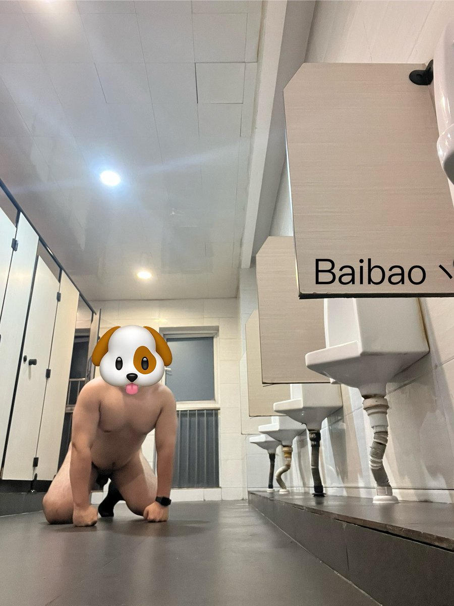 BaiBao丶 tweet media