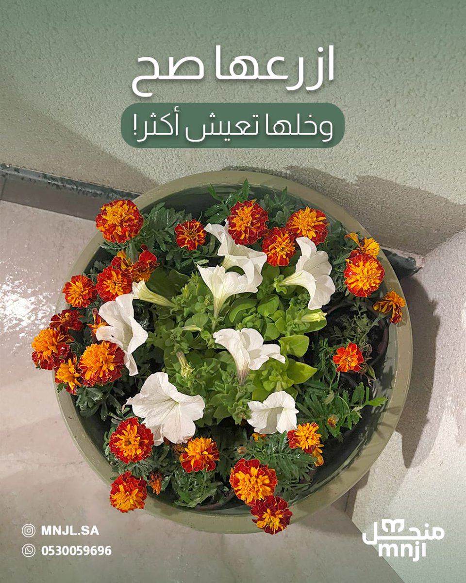 💡أفضل وقت للزراعة بالصيف قبل المغرب مباشرة تبخر الماء يكون أقل
الخلطة المثالية للتربة:
60٪ تربة حمراء +40٪ تربة زراعية غنية
لجذور قوية وصرف ممتاز.
🔹شبكة ري أوتوماتيك + تايمر:
ري منتظم بدون هدر، وبرمجة ذكية صباحًا ومساءً
ودك حديقتك تصير أجمل؟راسلنا الآن
📞+966530059696
#زراعة