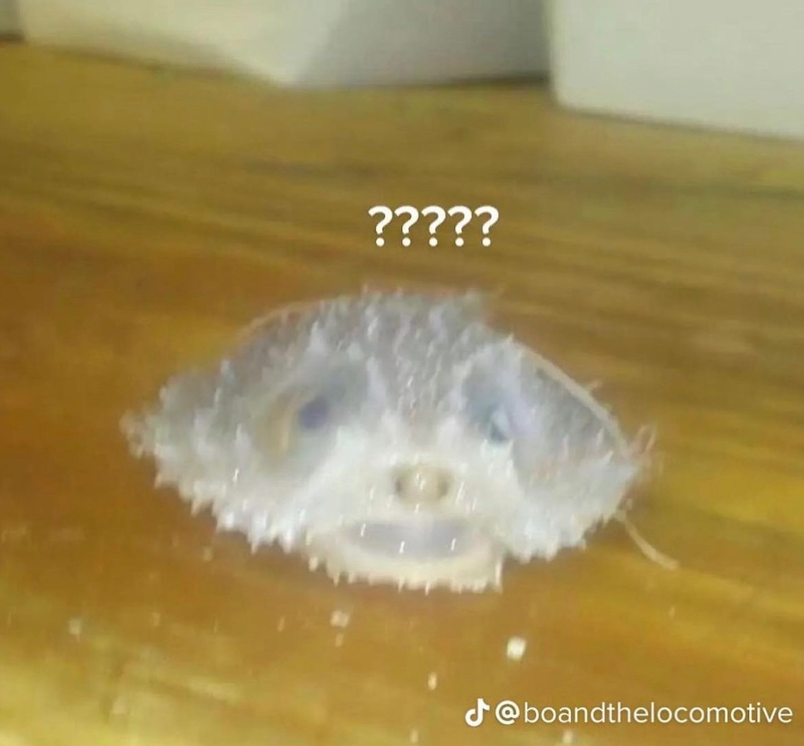 media from the camera roll of a closeted gay man tweet media