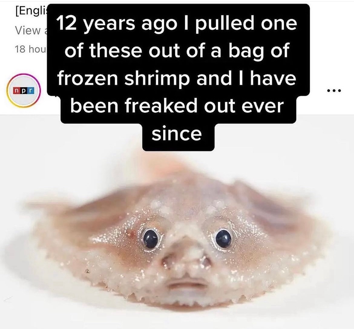 media from the camera roll of a closeted gay man tweet media