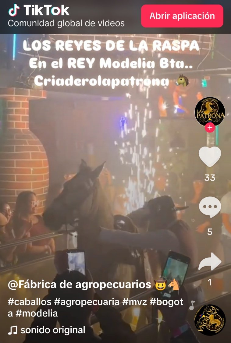 ♦️ JΛNDR3S tweet media