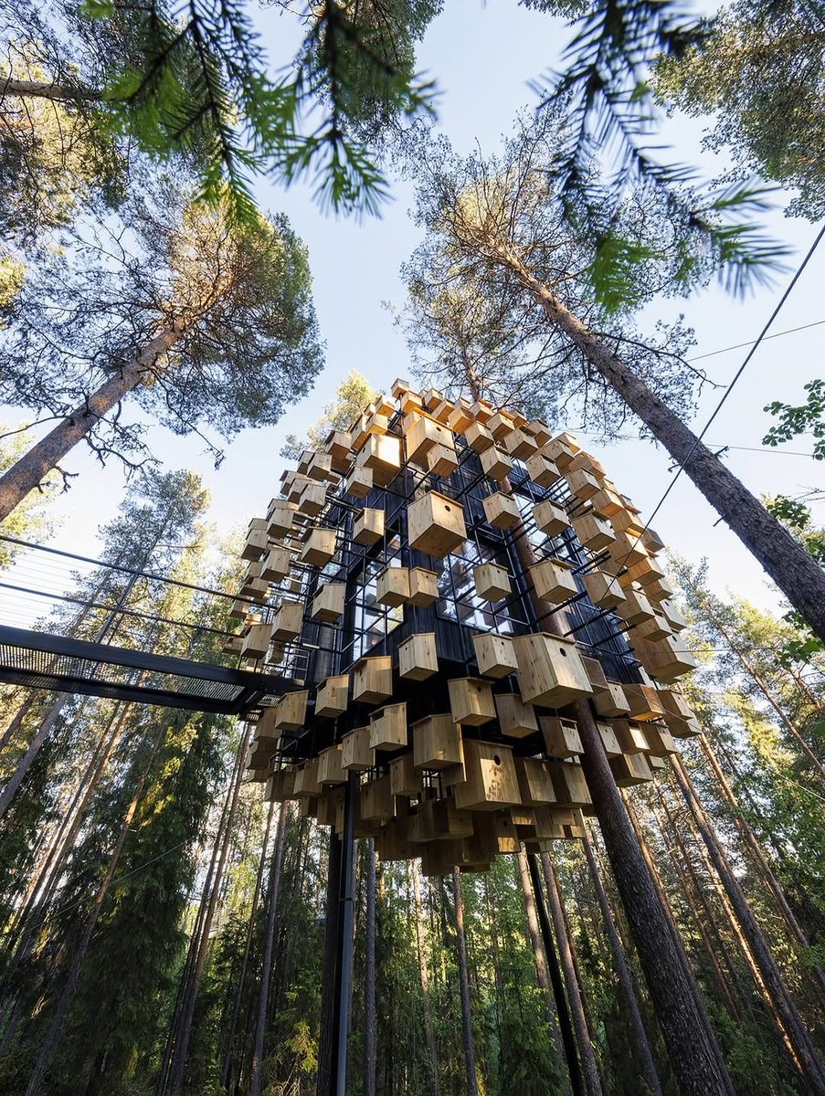 BIOSPHERE AT TREEHOTEL
