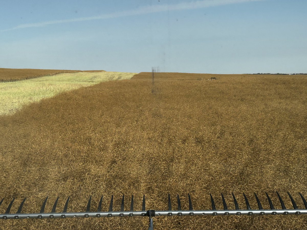 Doug Erickson tweet media