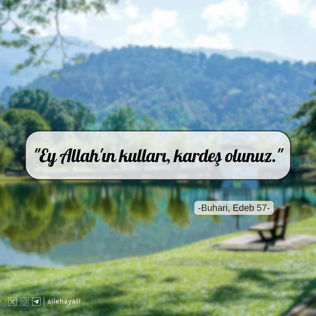 AileHayati's tweet image. "Ey Allah'ın kulları, kardeş olunuz."
#aile #kardeş #ailehayatı