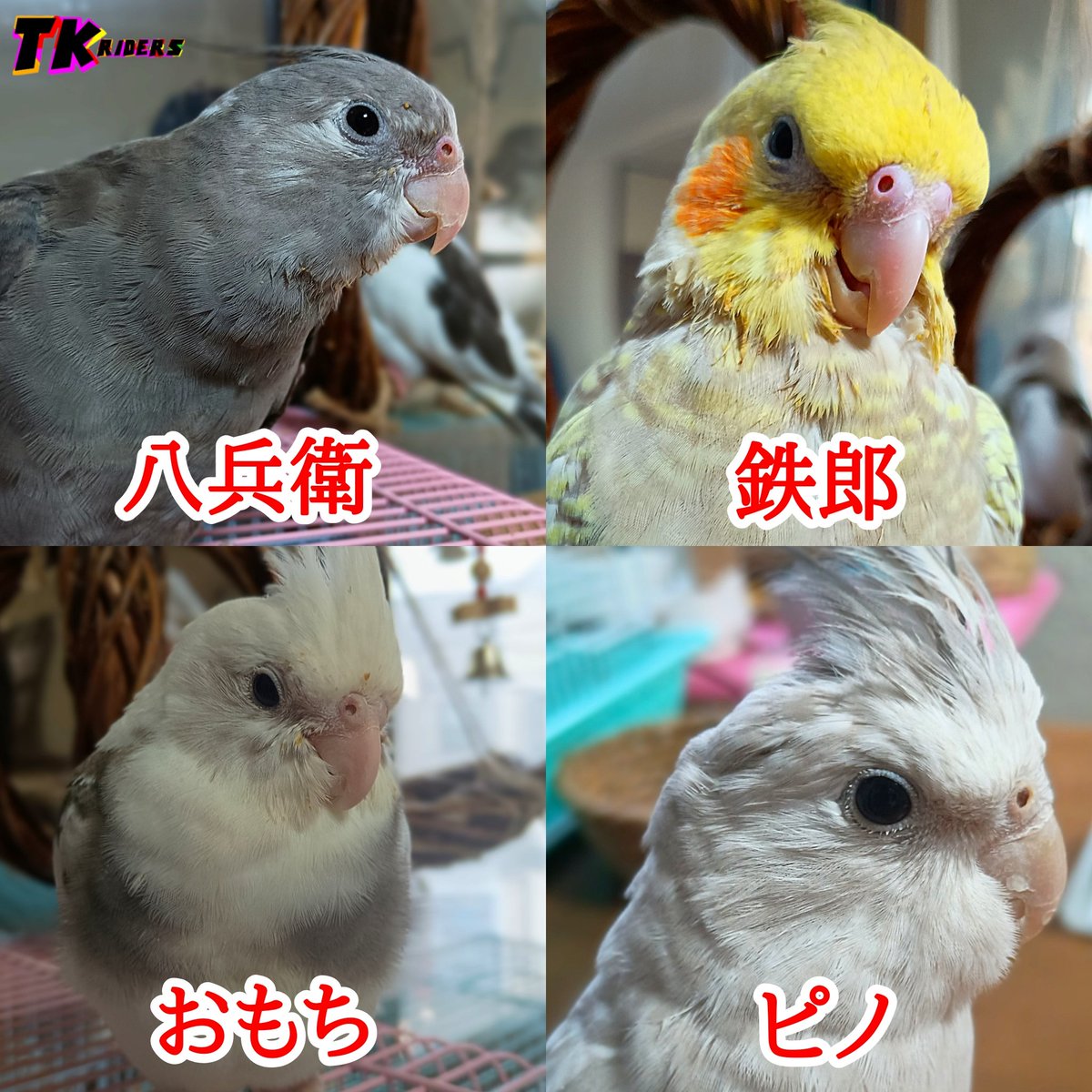 Tweet media one