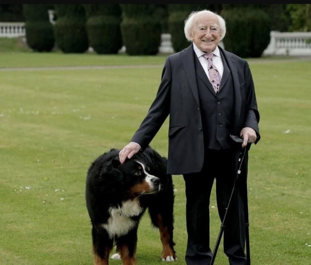 Deirdre Reynolds tweet media