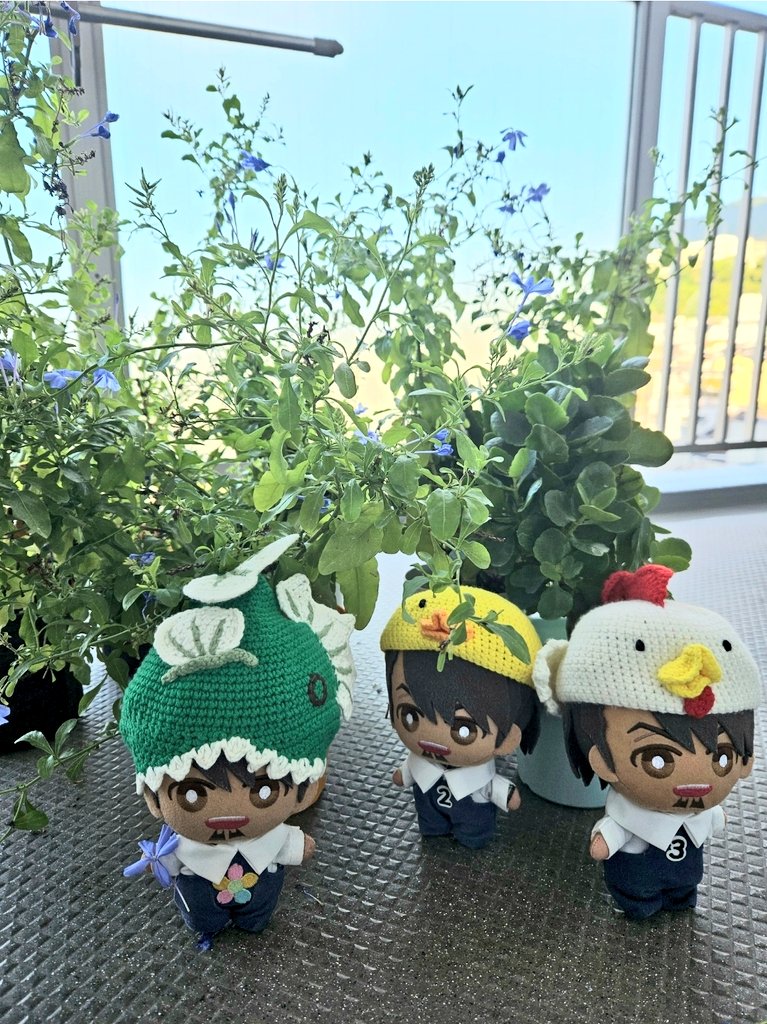 ピヨピヨ1028「お花と風船 ３連リース」「見上げる猫さん トイレリース」 ピヨピヨ1028「お花と風船 3連リース」「見上げる猫さん トイレ